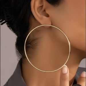 NWOT Circle Design Earrings